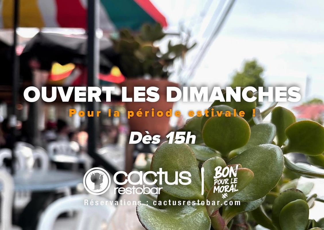 Cactus Resto-Bar photo 1