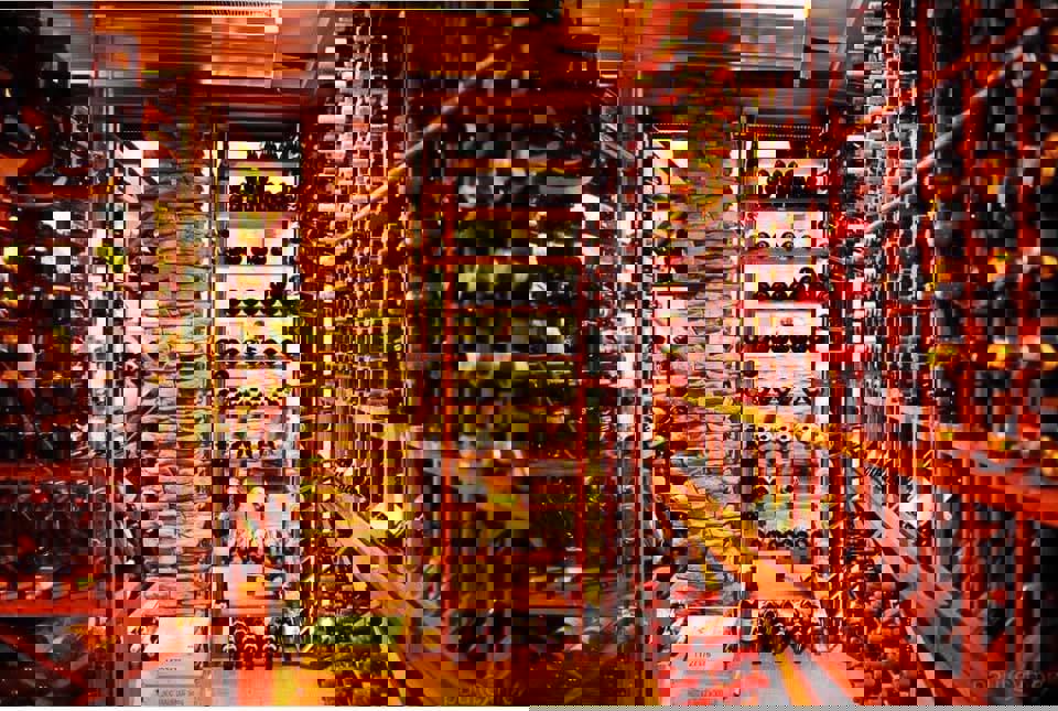 Restaurant La Cuisine photo 1