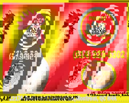 Poulet Mankal photo 1