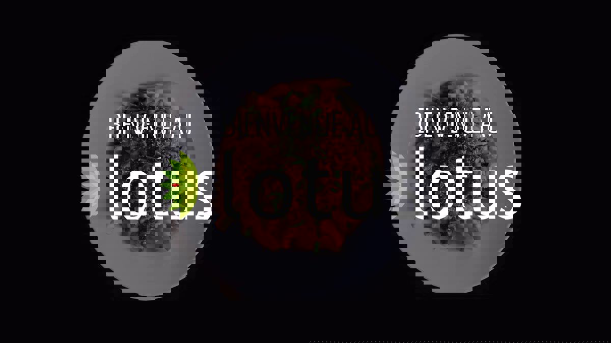 Restaurant Le Lotus photo 1