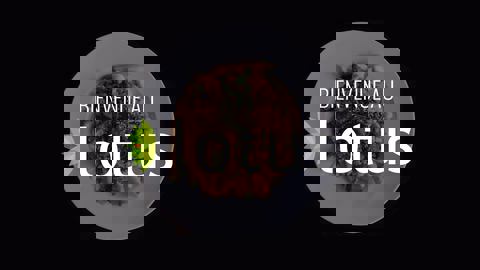 Restaurant Le Lotus photo 1