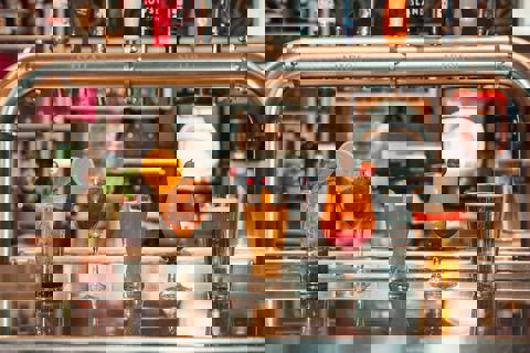 Plus Restaurant Bar photo 1