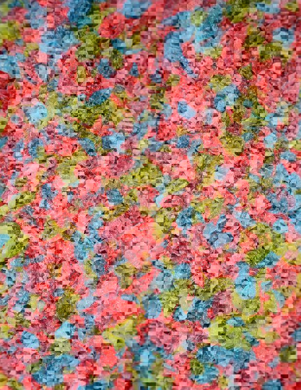 La Crémière Grenville photo 1