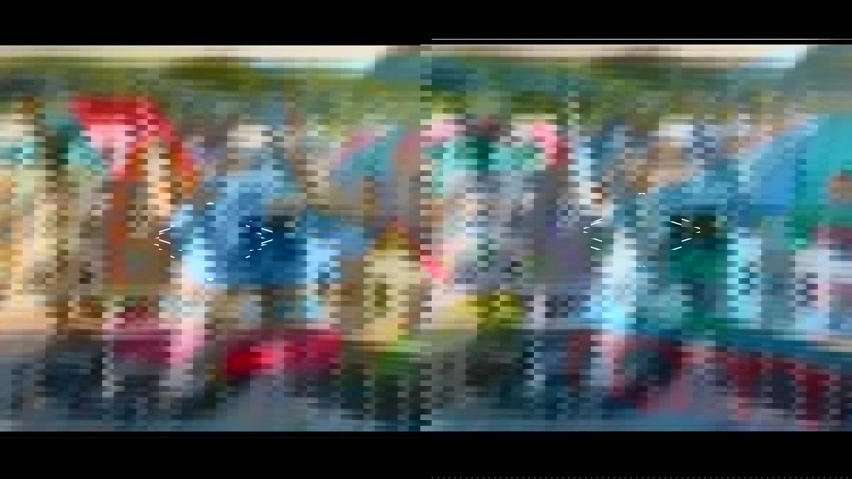 Resto-Bar Le Shack photo 1