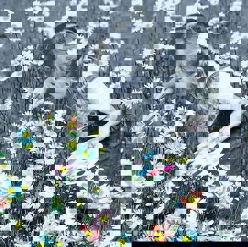 Que du Bonheur! photo 1