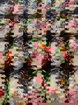 Karo Traiteur photo 1