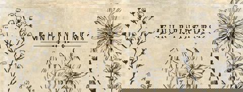 Le Géraldine photo 1