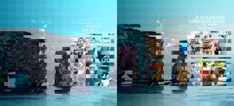 Aux glaces de l'Anse photo 1