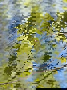 Larguer les samares photo 1