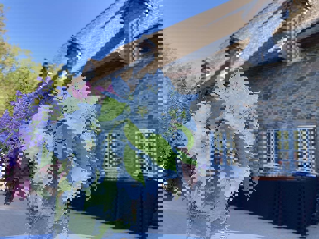 Moulin Michel photo 1