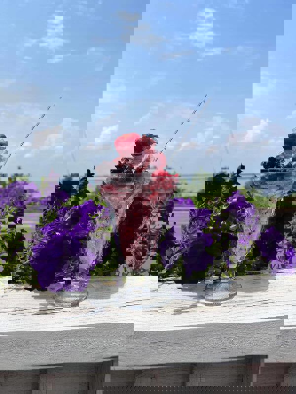 Entre fleuve & brebis photo 1