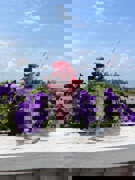 Entre fleuve & brebis photo 1