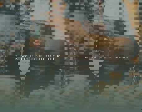 Monsieur L'Oiseau photo 1