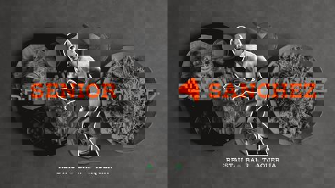 Senior Sanchez photo 1