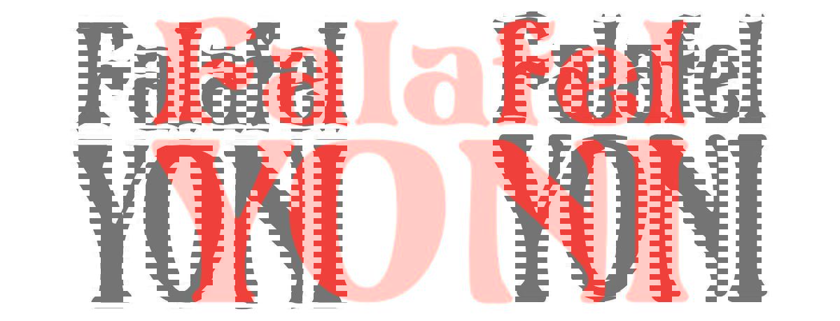 Falafel Yoni photo 1