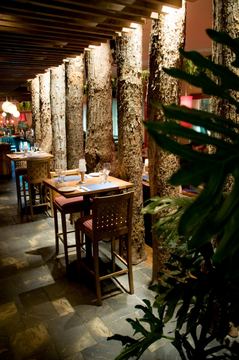 Mondo Resto Bar photo 8