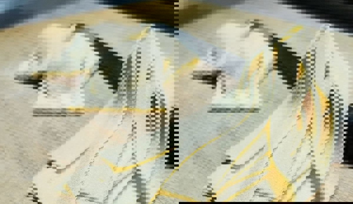 Trattoria Bellamore photo 1