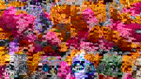 Camila & Co. Tacos photo 1