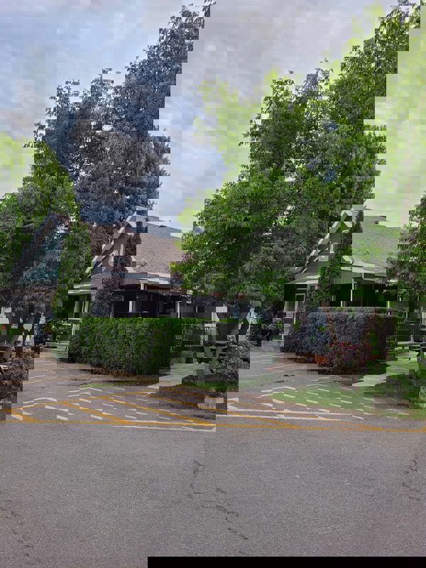 Cri d'oignons photo 1