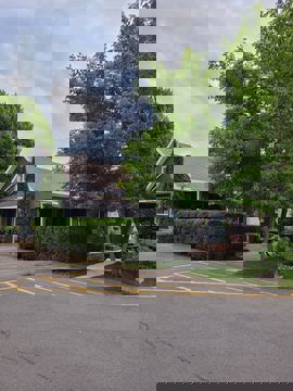 Cri d'oignons photo 1