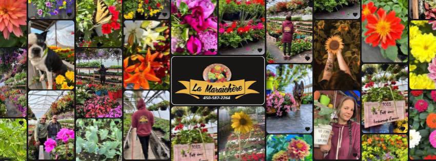 La Maraîchère photo 1