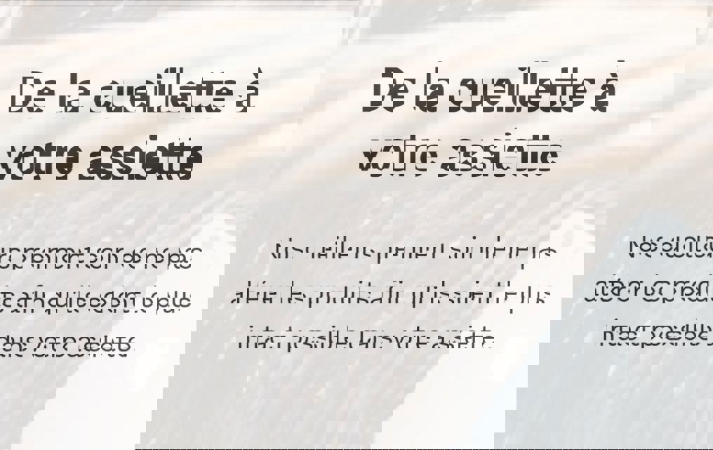 Les saveurs boréales photo 1