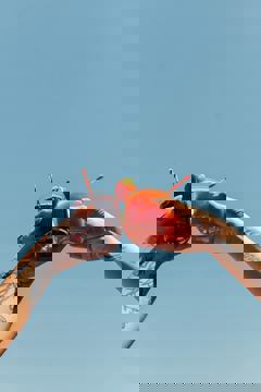 Messy Kitchen photo 1