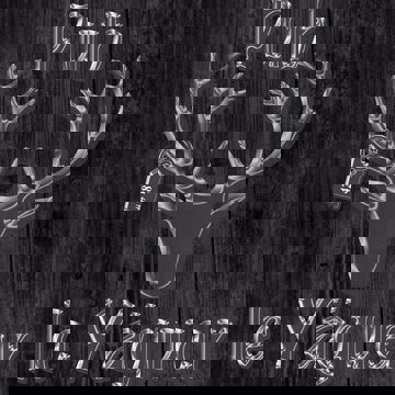 Pub le Yaguer Inc photo 1