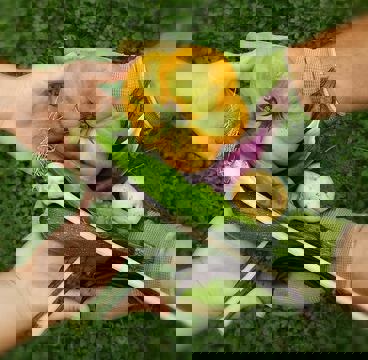 Traiteur Chez Giardino Catering photo 1