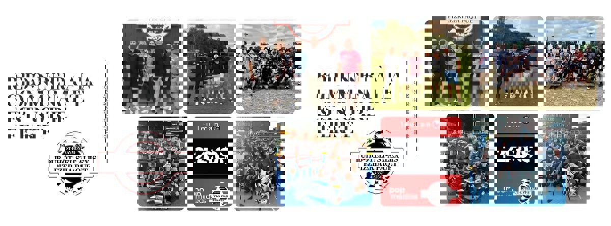 Pub St-Alexis photo 1