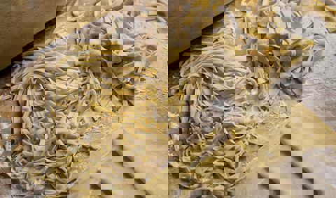 Farine Basilic - Pâtes fraîches et farcies photo 1