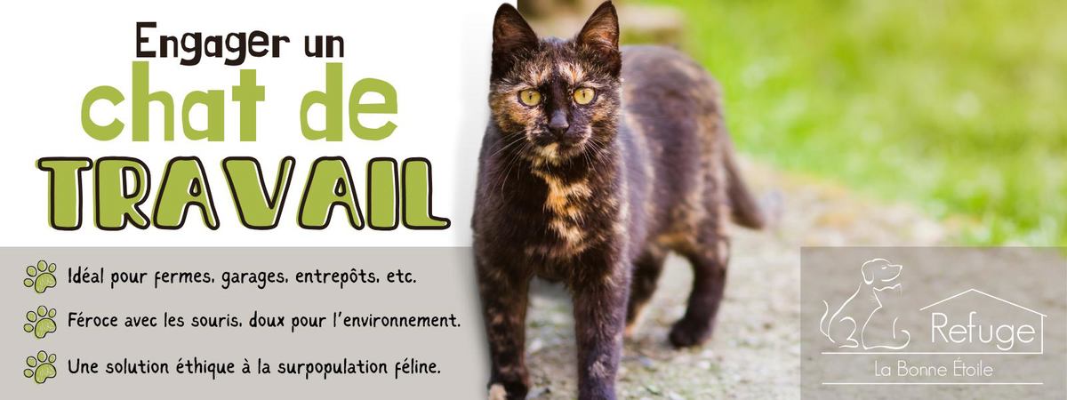 Refuge La Bonne Étoile photo 1