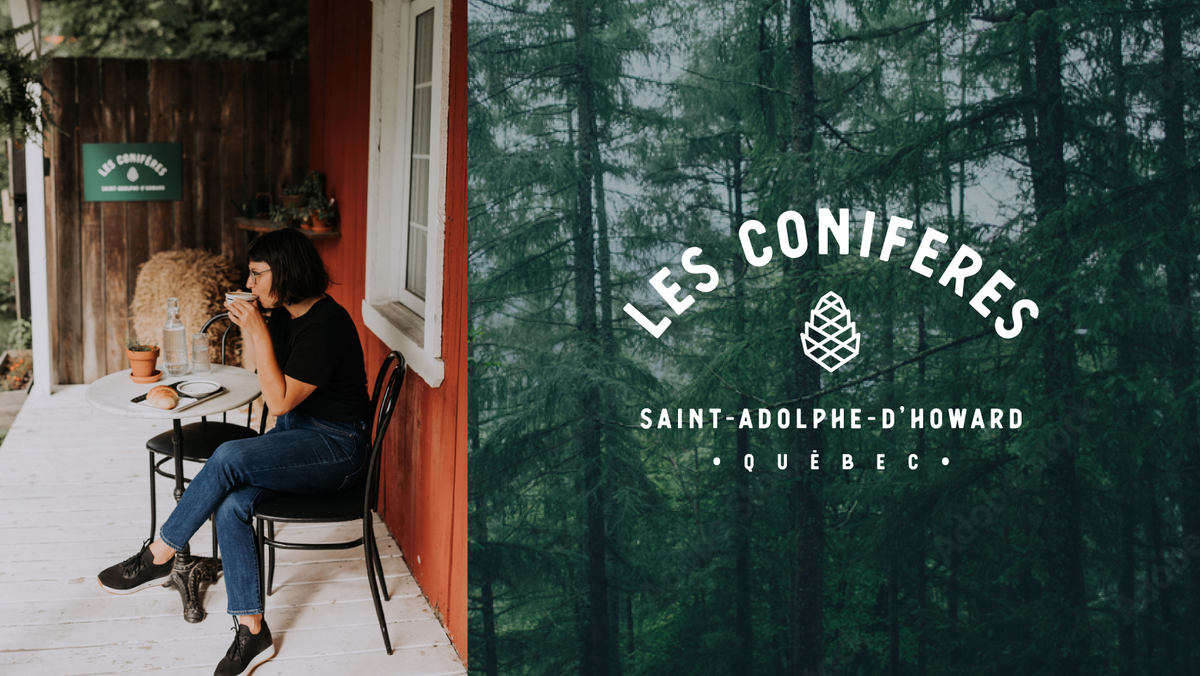 Les Conifères photo 1