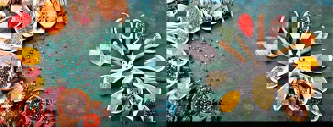 Tandoori Rouge photo 1