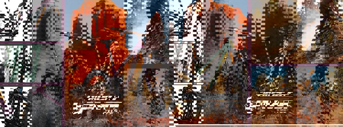 Laferte Bicycles photo 1