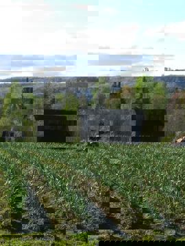 La Belle Gousse photo 1