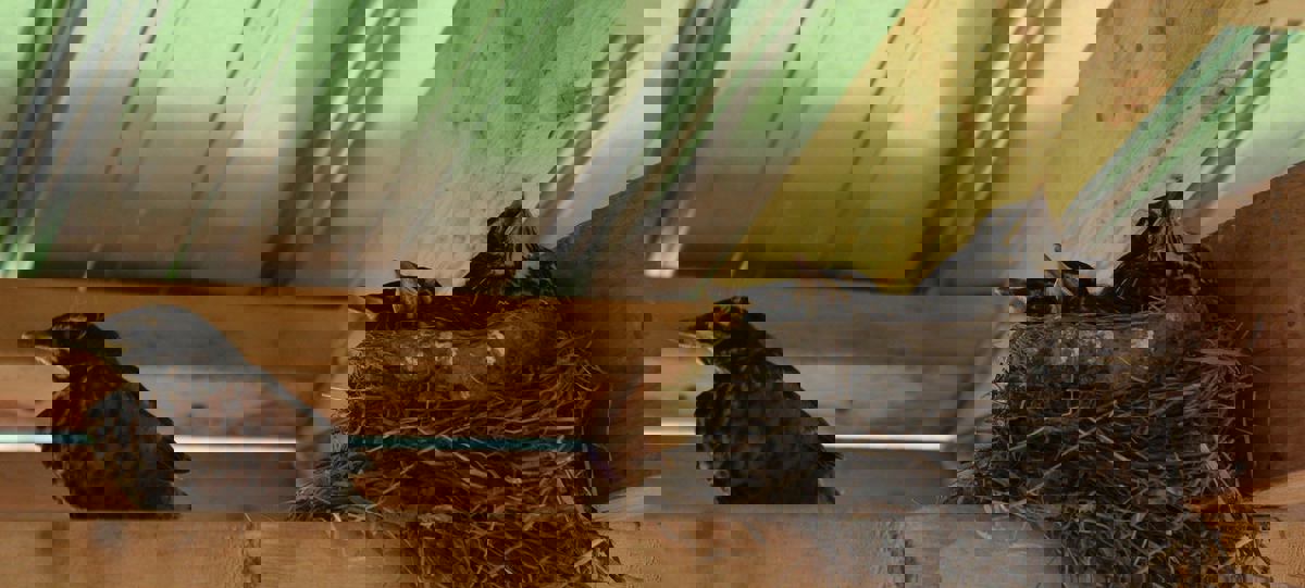 Café Bistro Boutique Léz'Arts photo 1