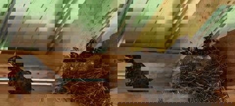 Café Bistro Boutique Léz'Arts photo 1