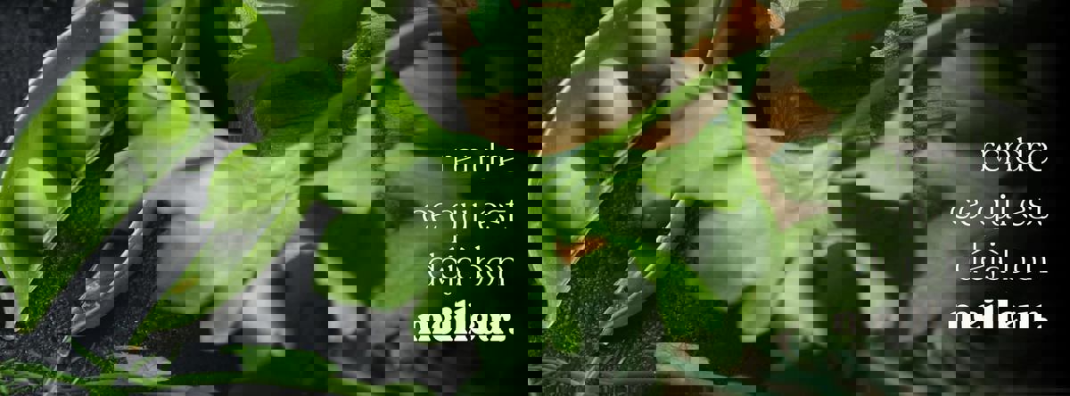 Équilibre Traiteur | Service de traiteur à Québec photo 1