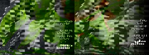 Équilibre Traiteur | Service de traiteur à Québec photo 1