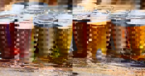 Microbrasserie de Bellechasse / Pub de la Contrée photo 1