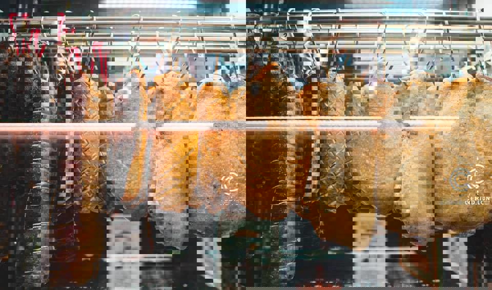 Le Cendrillon photo 1