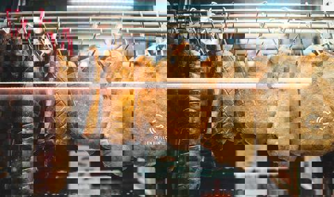 Le Cendrillon photo 1