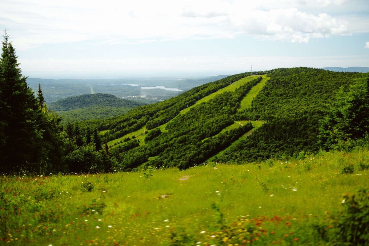 Quatre Foyers photo 1