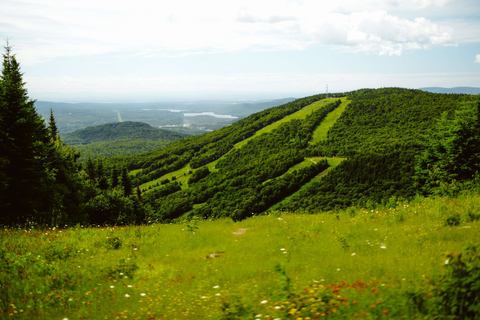 Quatre Foyers photo 1