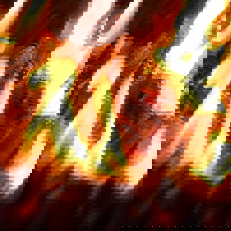 Pâtisserie Lajeunesse photo 1