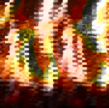 Pâtisserie Lajeunesse photo 1