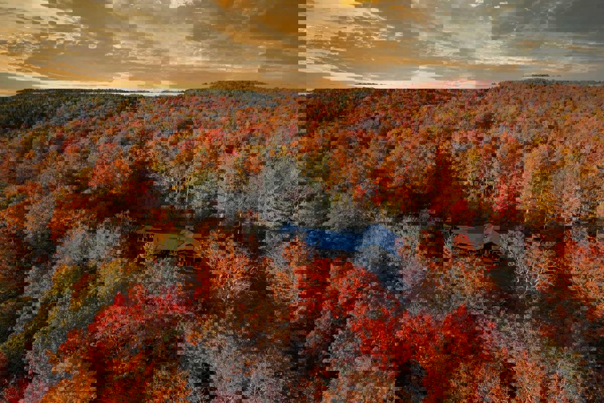 Chalet Oasis Boisée photo 1