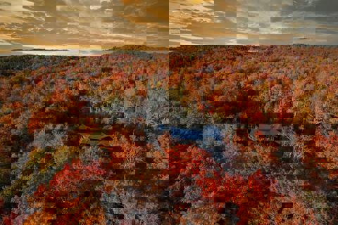 Chalet Oasis Boisée photo 1