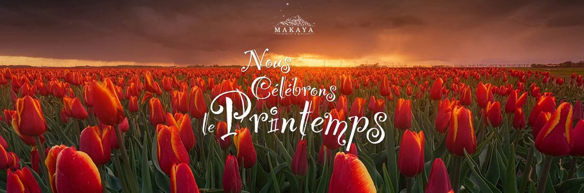 Makaya Chocolat & Bistro photo 1